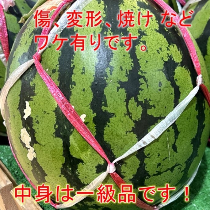 完売しました ◎ 【期間限定】 伊豆の国 田中山のスイカ 1玉　2L  約6kg 　【伊豆・村の駅】