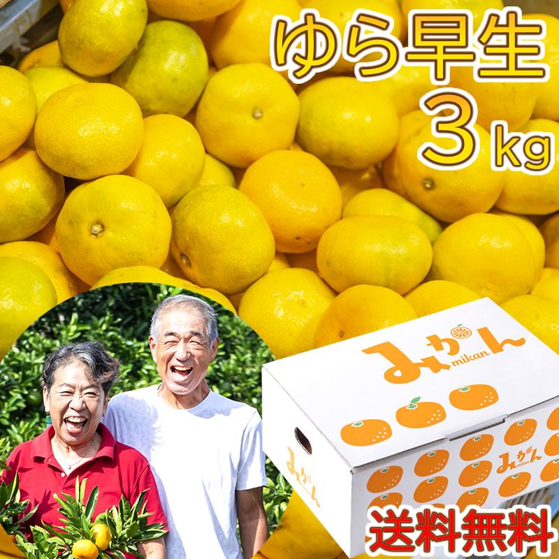 リピ続出 大好評 毎年即完売 甘うま 由良早生 ゆらみかん 3kg 【大川みかん園】