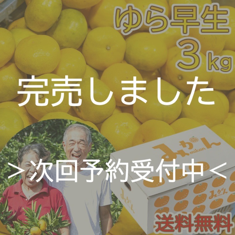 2024年完売しました◎リピ続出 大好評 毎年即完売 甘うま 由良早生 ゆらみかん 3kg 【大川みかん園】
