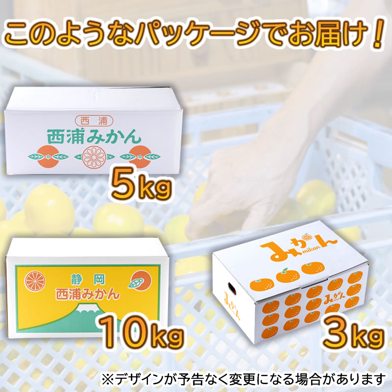 2024年完売しました◎リピ続出 大好評 毎年即完売 甘うま 由良早生 ゆらみかん 3kg 【大川みかん園】