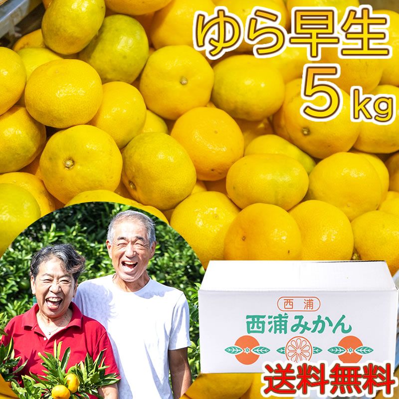 リピ続出 大好評 毎年即完売 甘うま 由良早生 ゆらみかん 5kg 【大川みかん園】