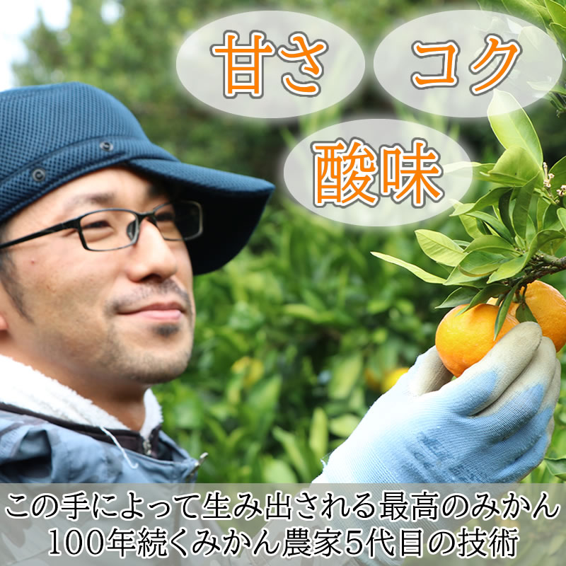 お歳暮年越し静岡 青島 温州みかん 5kg 【土方果樹園】【のし紙対応】
