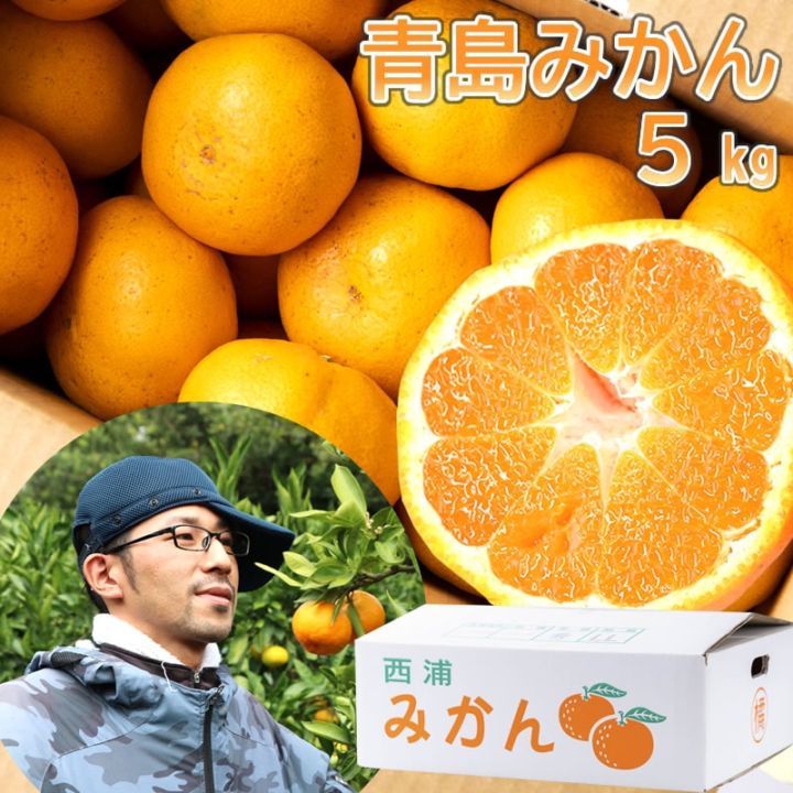 大川みかん園 l 【公式】 うまちょく便 | 静岡・山梨名物・特産品を