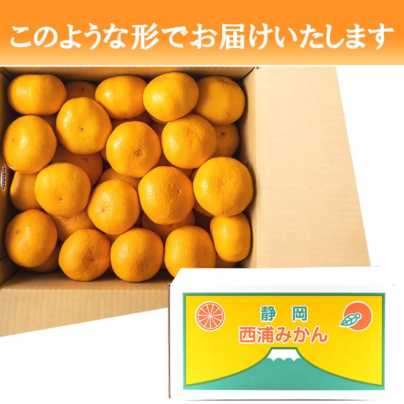ゆきえ　　　梅 10Kg　6月13日収穫　山梨県北杜市産　　　2 土方果樹園 l 【公式】 うまちょく便 | 静岡・山梨名物・特産品