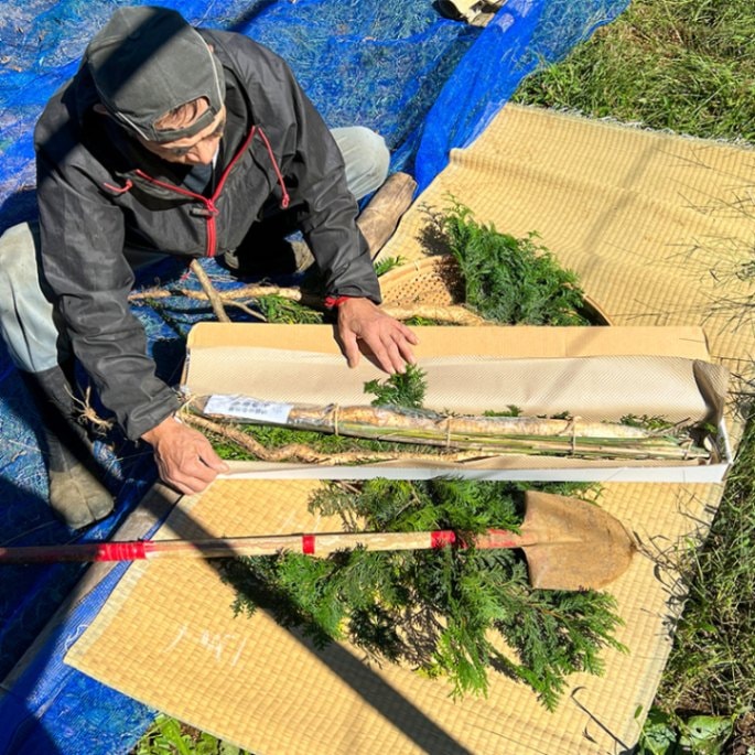 ＼  冬ギフト ／ 山芋の王様 ◎ 風味豊かなとろろ 日本原産 自然薯 600g 【萩原 秀則】 【短冊のし対応可】