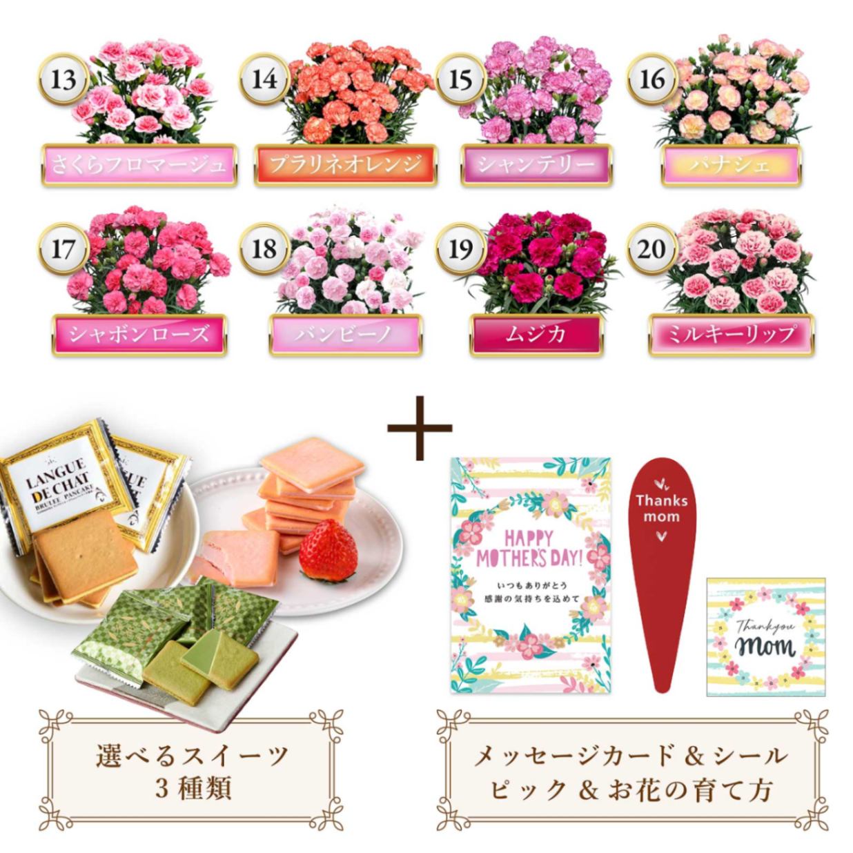 2024年完売しました  ◎ カーネーション 5号 鉢花 選べるスイーツ お菓子 セット ラングドシャ 静岡  【伊豆・村の駅】