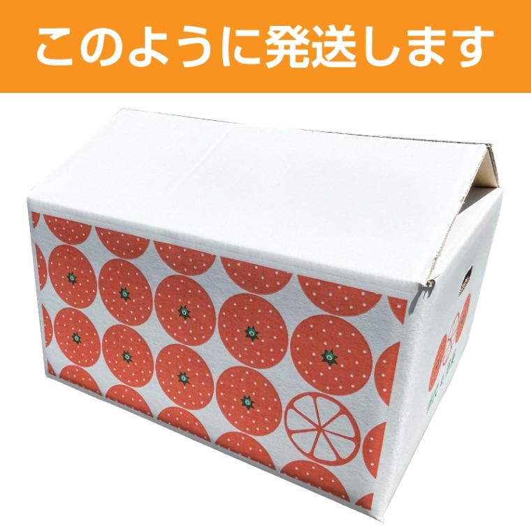 望月農園 l 【公式】 うまちょく便 | 静岡・山梨名物・特産品を通販で