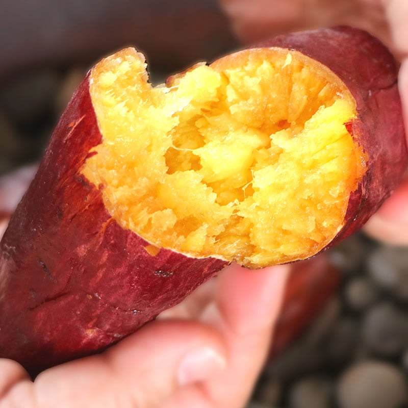 ねっとり濃厚 紅はるか 焼きイモの 干し芋 1kg （100g×10袋）   【なないも】