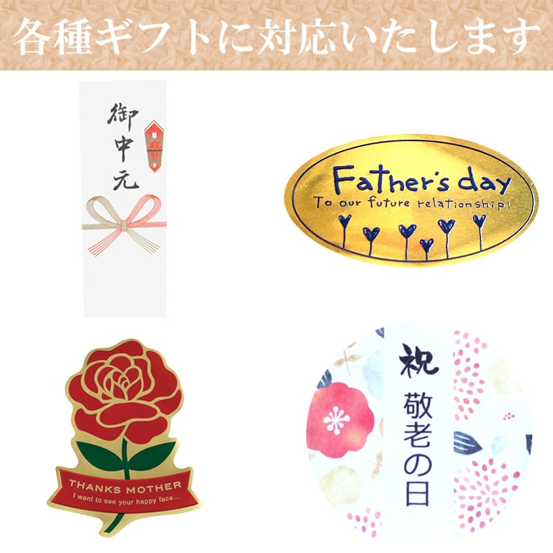 健美 3種 ピクルス ギフトセット B 桃とキウイ 豆と野菜 ズッキーニとヤングコーン 【ピクルス工房りんごの杜】