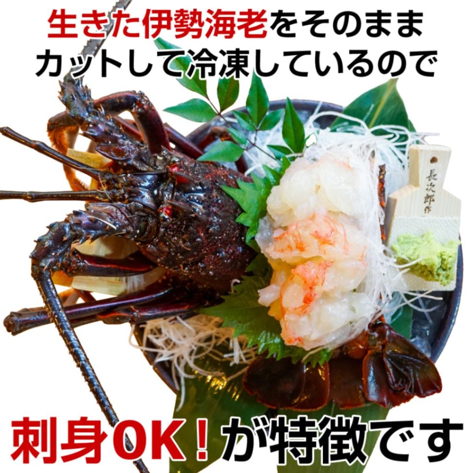 刺身OK 冷凍 活伊勢海老  半身 ハーフカット 250g  【伊豆漁業協同組合南伊豆支所】  【熨斗紙対応可】