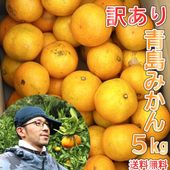 静岡県産　加工用青島みかん 土方果樹園 l 【公式】 うまちょく便 | 静岡・山梨名物・特産品を通販