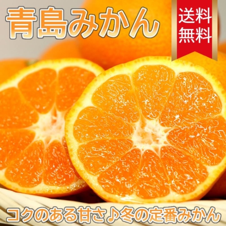 温州 青島みかん 10kg 【海瀬みかん園】