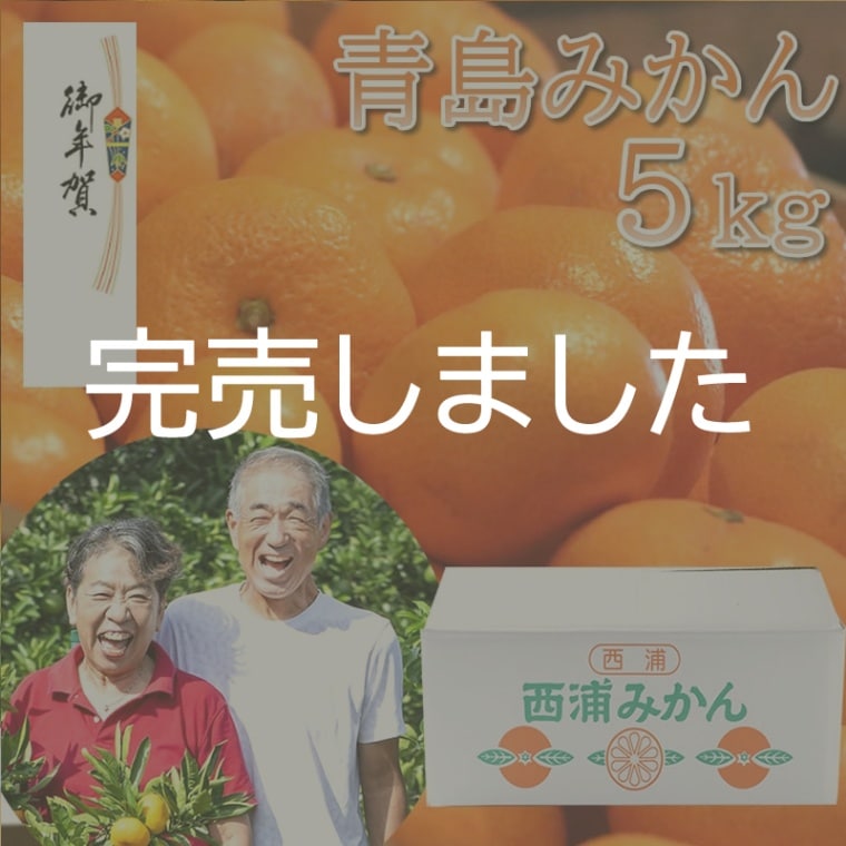お中元 御中元 夏ギフト 暑中見舞い 残暑見舞い ◎ 静岡 青島 温州みかん 5kg 【大川みかん園】≪産直商品につき同梱不可≫