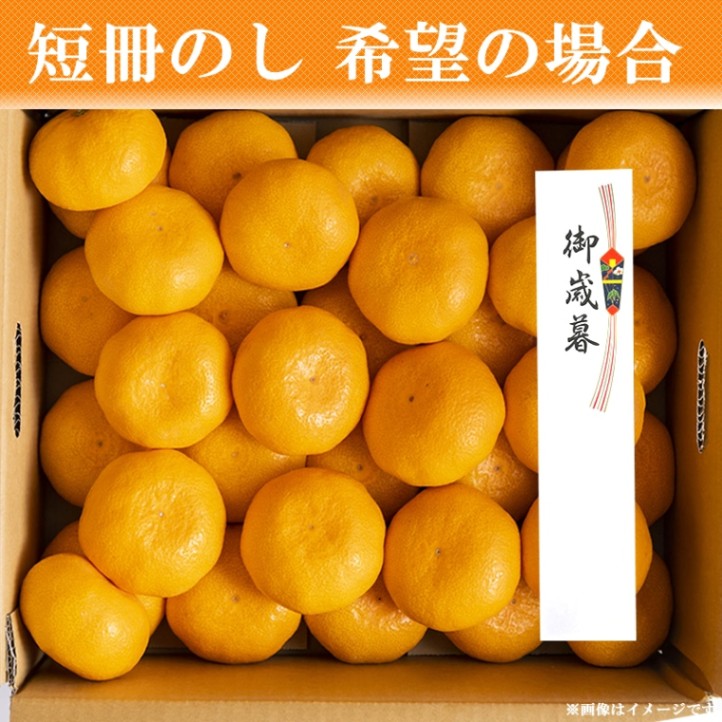 お歳暮 2024入荷通知受付中★温州 青島みかん 3kg 【大川みかん園】