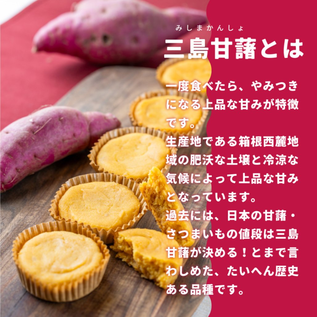 冬ギフト ◎ お芋のスイーツ お菓子 三島甘薯 スイートポテト  いもんど 4個 【9800円以上送料無料対象（常温）】【伊豆・村の駅】