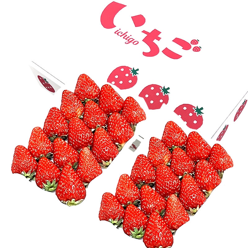 伊豆の国から完熟苺 紅ほっぺ 15粒前後 生いちご 600g （300g × 2パック） 【山口信幸】