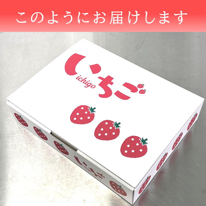 伊豆の国から完熟苺 紅ほっぺ 15粒前後 生いちご 600g （300g × 2パック） 【山口信幸】