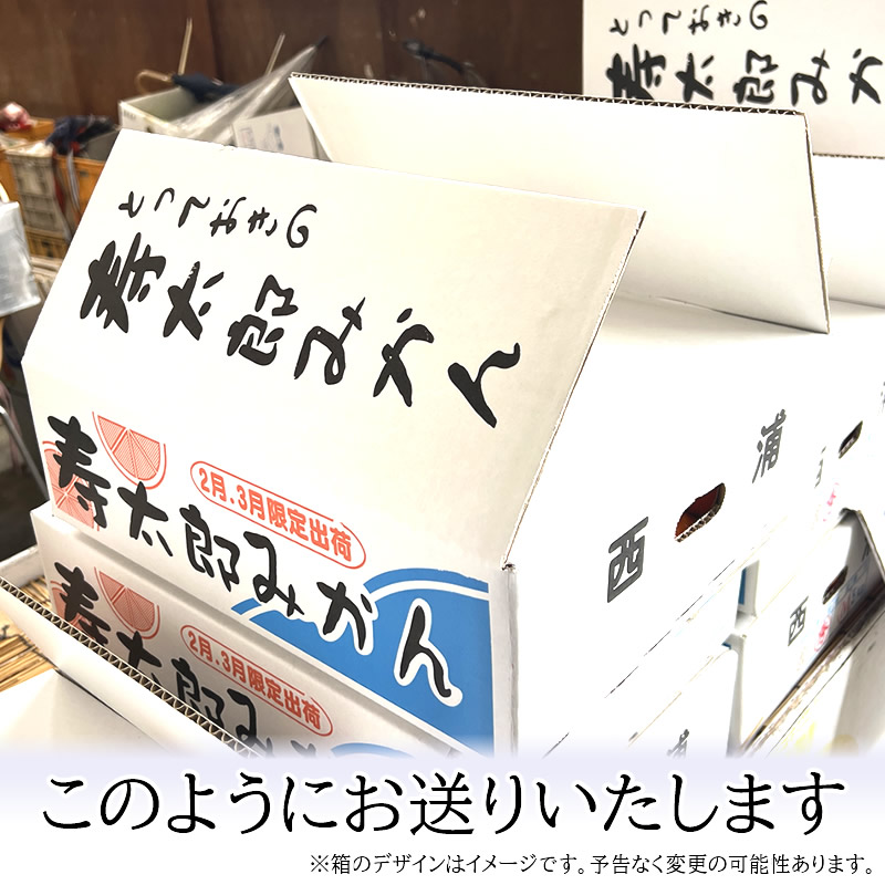 訳あり ご自宅用 ◎静岡県西浦 寿太郎みかん5kg 【マルキチ物産】