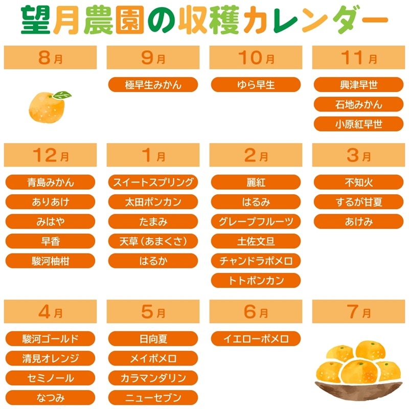 完売しました◎農家おまかせ！旬の5種類 柑橘詰め合わせ 4kg保証 【望月農園】