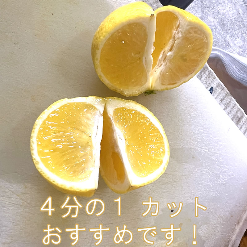 湘南ゴールドの生みの親 黄金柑（おうごんかん） ゴールデンオレンジ 3kg  【大川みかん園】