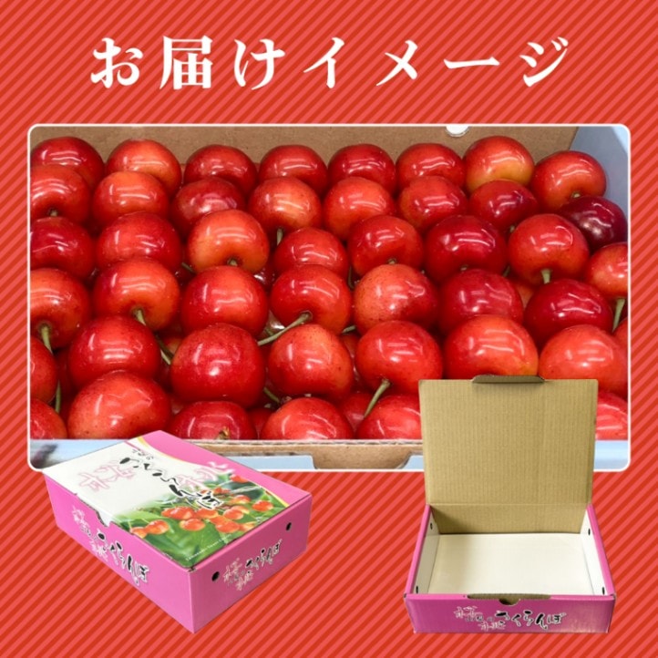 冬ギフト ◎ 山梨 南アルプス さくらんぼ  佐藤錦（さとうにしき） 1000g 【カネミ農園】