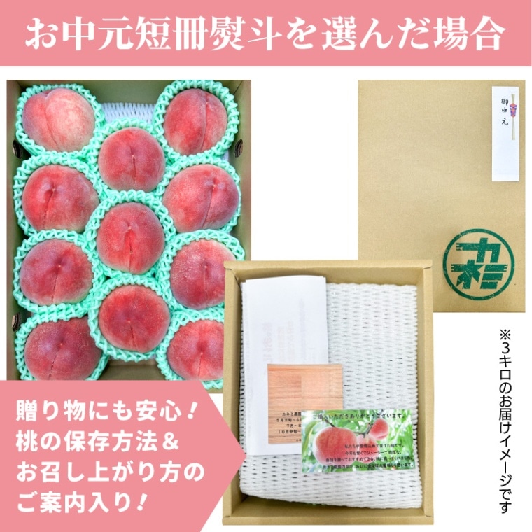 完売しました ◎ ギフト 誕生日内祝プレゼント ◎8月上旬~発送予定◎ 山梨県 川中島白桃8~11玉目安 約3kg 【カネミ農園】