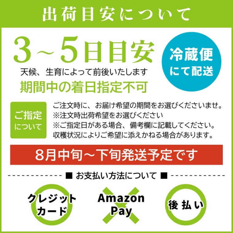 完売しました ◎山梨県 樹成完熟 つぶつぶシャインマスカット＆巨峰 合計約800g 【カンジュクファーム】