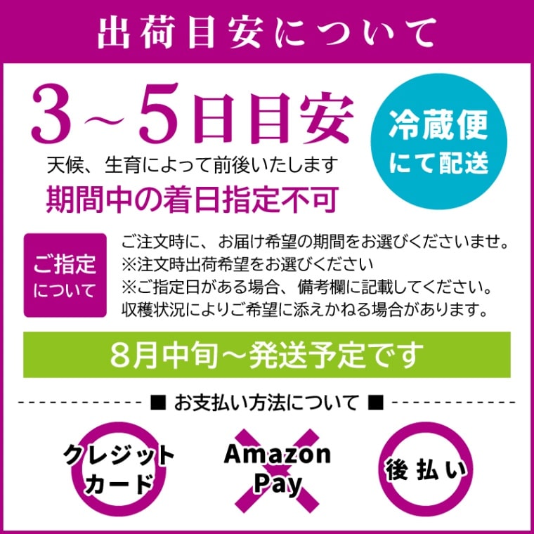 完売しました ◎ 【ギフト予約】8月中旬~発送開始◎山梨県 樹成完熟ピオーネ 秀品 2房 約1kg 【カンジュクファーム】