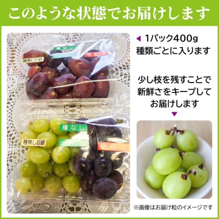 完売しました ◎山梨県 樹成完熟 つぶつぶシャインマスカット&ピオーネ 合計約800g 【カンジュクファーム】