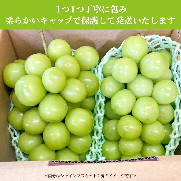 季節のプレゼント季節のギフト  山梨県 シャインマスカット 2房（1.0kg以上保証） 【彩の杜ファーム】