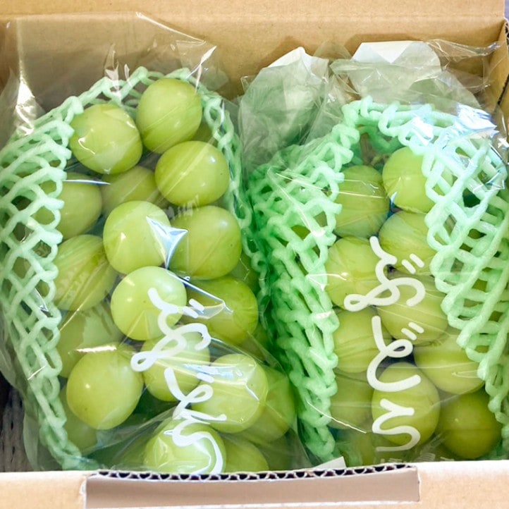 季節のプレゼント季節のギフト  山梨県 シャインマスカット 2房（1.0kg以上保証） 【彩の杜ファーム】