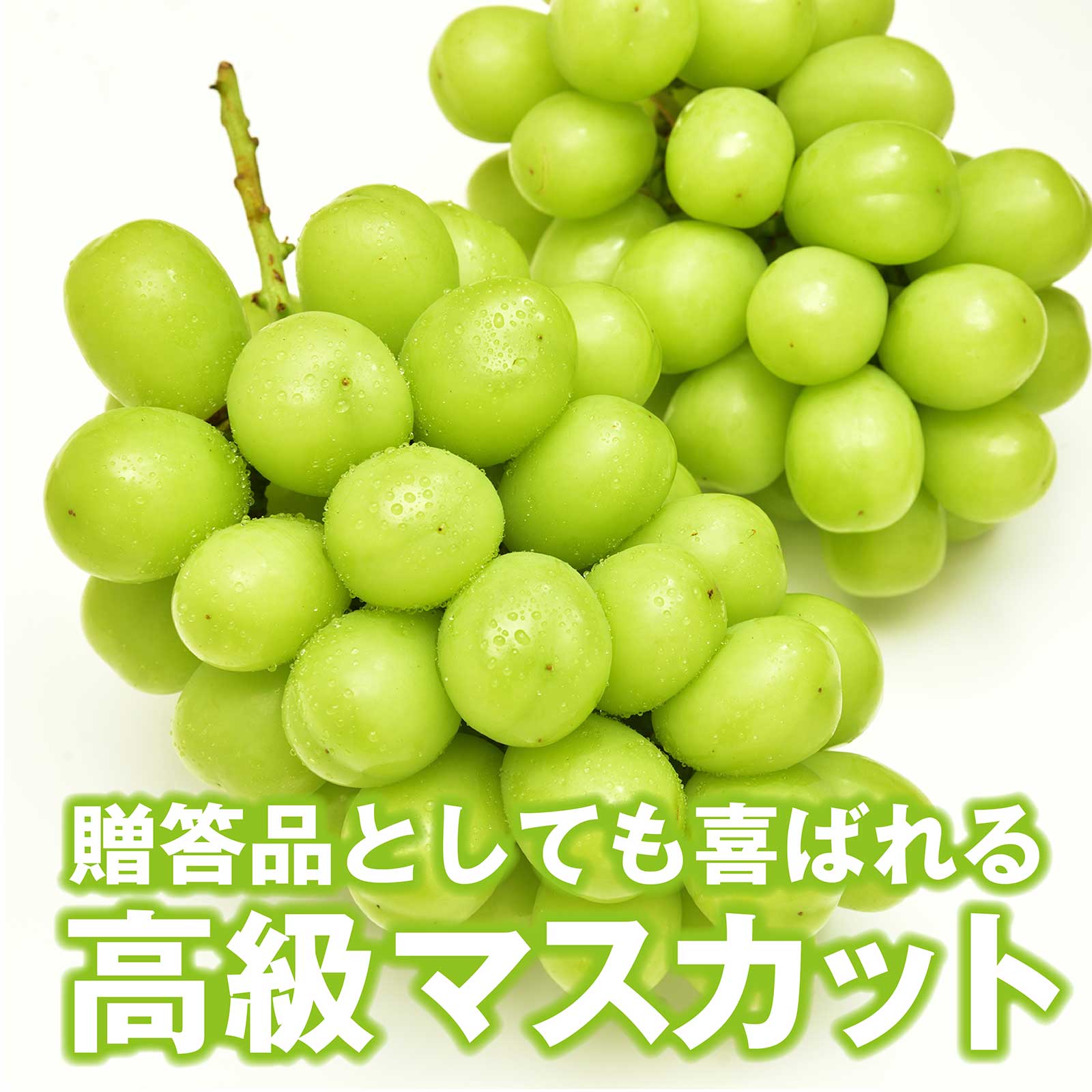 完売しました 〇 敬老の日 プレゼント 山梨県産 シャインマスカット約1.2kg 【村の駅】