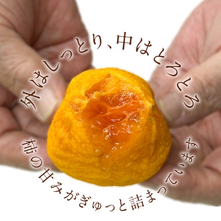 完売しました◎季節のご挨拶 プレゼント 上品な天然スイーツ あんぽ柿 480g (3袋×160g) 12個入り目安 【カネミ農園】