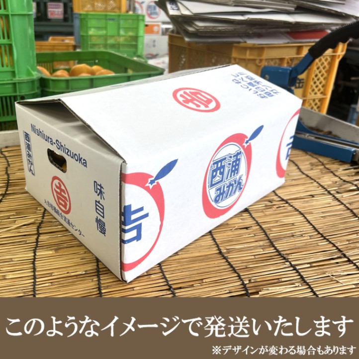 静岡県 ゆら 由良みかん 3kg 【マルキチ物産】