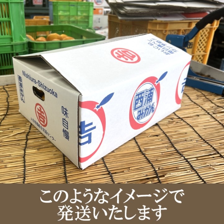 静岡県 ゆら 由良みかん 5kg 【マルキチ物産】