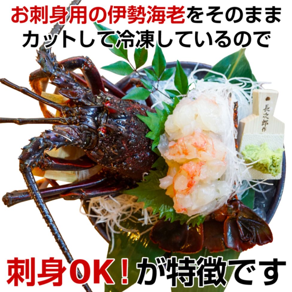 お歳暮 プレゼント ◎お刺身OK活けイセエビ　伊豆産 伊勢海老 １尾カット300ｇ　 処理済み 【伊豆漁業協同組合南伊豆支所】