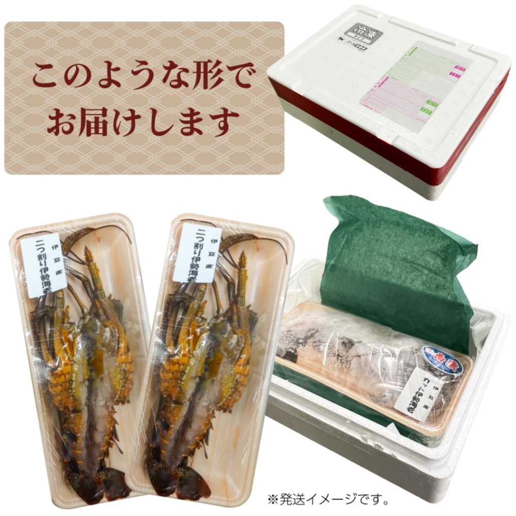 お歳暮 プレゼント ◎お刺身OK活けイセエビ　伊豆産 伊勢海老 2尾カット（300ｇ×2尾）　 処理済み 【伊豆漁業協同組合南伊豆支所】