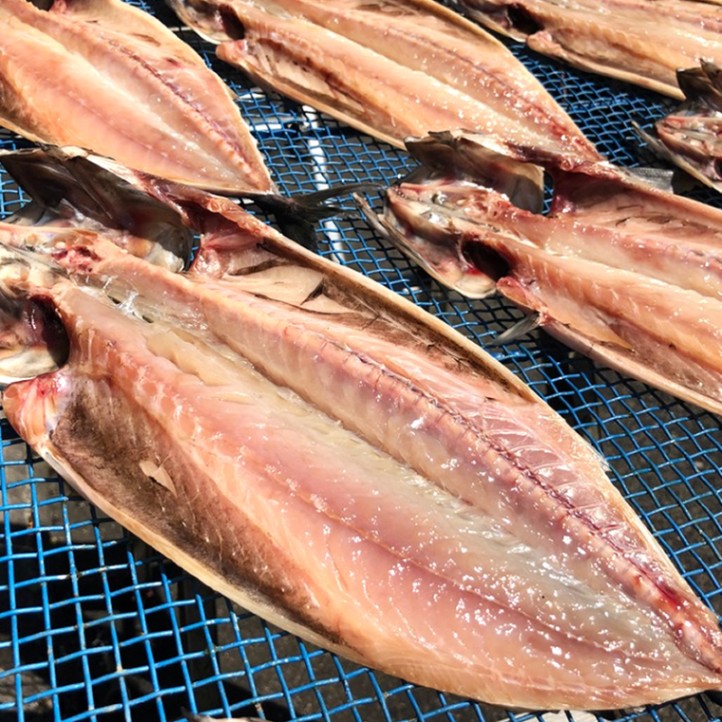 ≪再注文専用≫大行列◎最大2か月待ち目安 ◎大きなサイズ トロ鯖一本開き【干物屋ふじま】【ハイパー干物クリエイター 藤間義孝】≪産直商品につき同梱不可≫