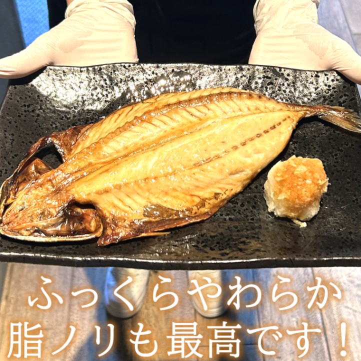 ≪再注文専用≫大行列◎最大2か月待ち目安 ◎大きなサイズ トロ鯖一本開き【干物屋ふじま】【ハイパー干物クリエイター 藤間義孝】≪産直商品につき同梱不可≫