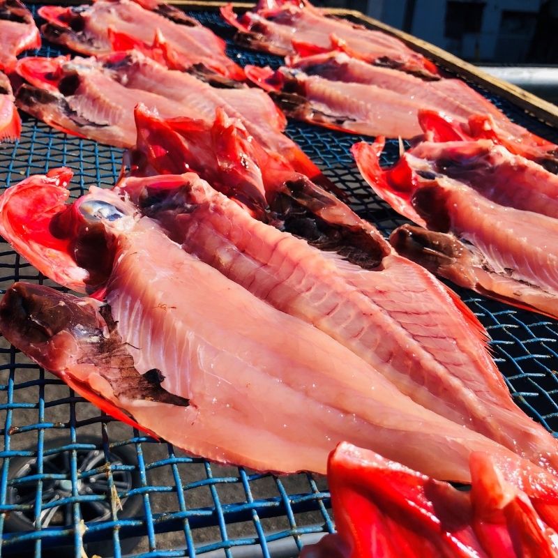 /view/item/000000002556