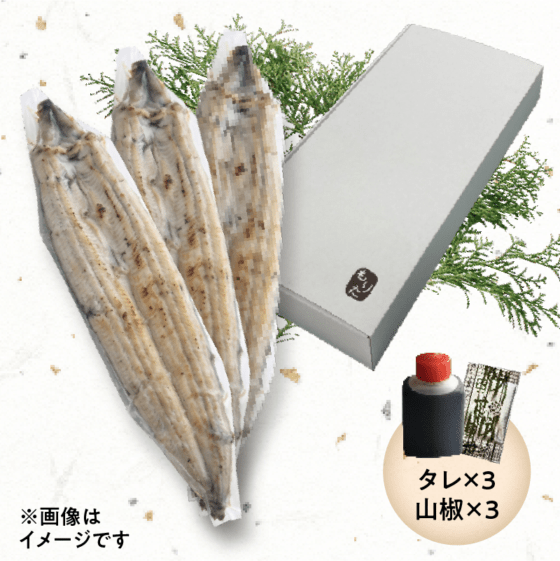 もりた 国産うなぎ四万十桜(白焼き3尾入り)