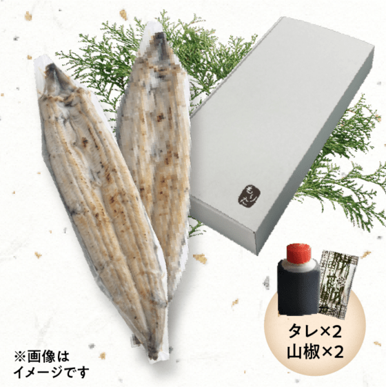 もりた 国産うなぎ四万十桜(白焼き2尾入り)