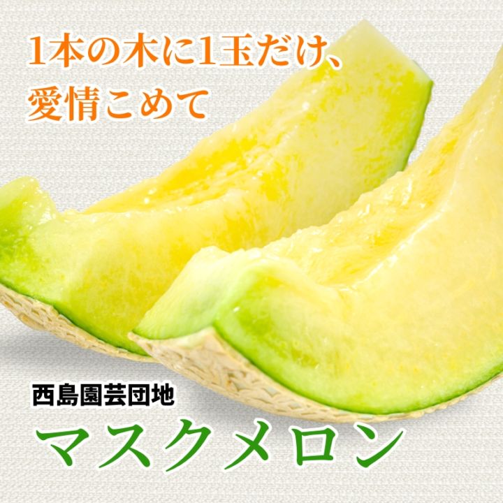 西島園芸団地　マスクメロン1個入
