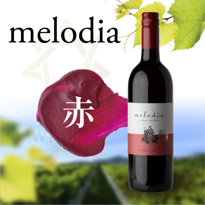 井上ワイナリー　melodia （赤）