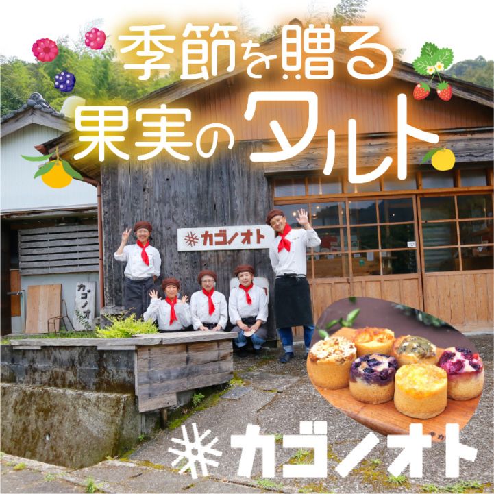 【夏の贈り物 早期割引】カゴノオト　しまんと果実のタルト(6個入り)