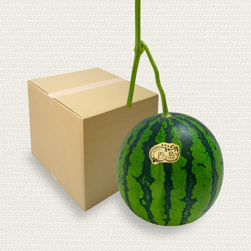 西島園芸団地 スイカ｜土佐うまいもの100選｜高知のお土産 通販サイト