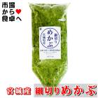 細切りめかぶ (湯通し)1kg 国産 (宮城県)【健康応援、海藻を毎日食べよう】お好みの味付けでお召し上がりください【冷蔵便】