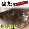 ¤Ï¤¿(³è¤¸¤á¡¦ÍÜ¿£¡ËÌó1kg¡Á1.5kgÁ°¸å¡¡»É¿ÈÍѡڹâµéµû¡¦¤¦¤Þ¤¤¤â¤Î»Ô¾ì³è¤¸¤á¥·¥ê¡¼¥º¡Û¹âµéÎÁÍýŹ¡¢¹âµéµï¼ò²°¡¦¤³¤À¤ï¤ê¤ÎŹ¤Ê¤É¤Ç¤ª»È¤¤¤¤¤¿¤À¤¤¤Æ¤ª¤ê¤Þ¤¹¡ÚÎäÂ¢ÊØ¡Û