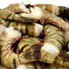 ³¤Ï·¡¦¥Ö¥é¥Ã¥¯¥¿¥¤¥¬¡¼³¤Ï· ĶÆÃÂç 6/8¥µ¥¤¥º 6Ëç(1Ë礢¤¿¤ê1.8kg)¡ÚÁ¯ÅÙ°Ý»ý¥Ö¥í¥Ã¥¯Åà·ë¡¦¥Ë¥Á¥ì¥¤¤µ¤¯¤é¾¡Û¶È̳ÍÑ¡¢°ìÈ̤ÎÊý¤Ë¤â¡ÚÎäÅàÊØ¡Û