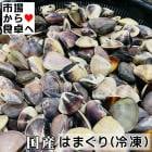 はまぐり(冷凍) 5kg 【国産】いいダシ出ます。焼いてもお鍋でもおいしくいただけます【冷凍便】
